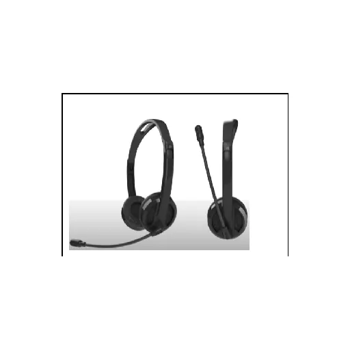 Rapoo H100 One-year warranty — Wired Stereo Headset