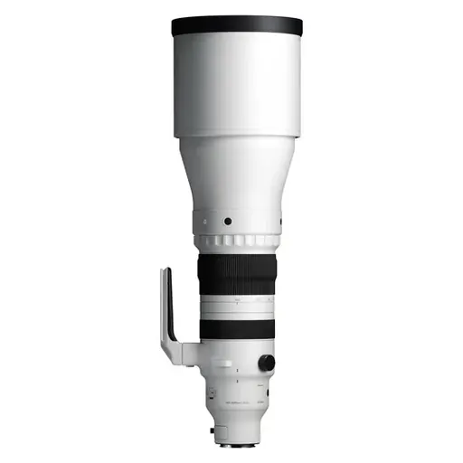 Sigma 300-600mm f/4 DG OS Sports Lens (L-Mount)